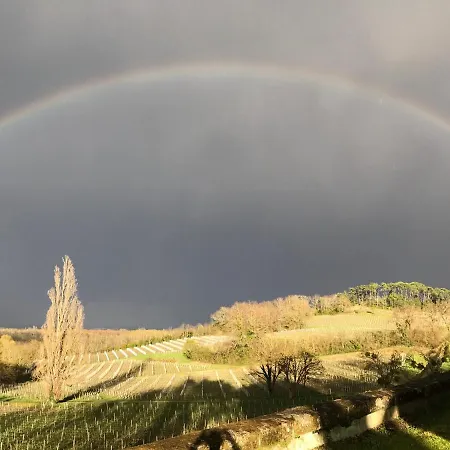 Saint Emilion *